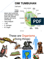 03.cell Structure and Organelles-Krt-1