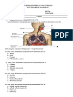 Prueba Sistema Respiratorio 