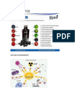 KYÄNI Productos Explicativo