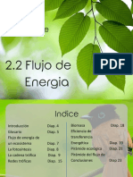 2.2 Flujo de Energia