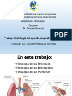 Histología Del Aparato Respiratorio Inferior