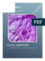 Guia de Lab Morfo General 2019 1 PDF