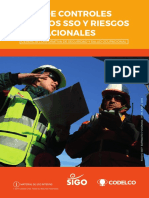 Guía Controles Críticos y Riesgos Operacionales