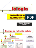 4 2 Fotosintesis y Quimiosintesis