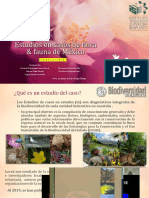 Estudios en Casos de Flora & Fauna de México