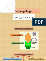 Emberyology 2 Lect