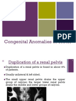 Congenital Anomalies of Ureter Bladder