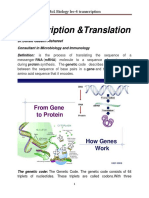 Transcription &translation: Mol. Biology Lec-4 Transcription