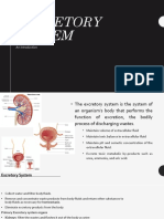 Excretory PDF