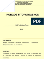 Hongos 1560816746