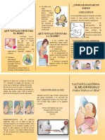 Folleto Visita Inceidnetal