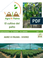 Agro Vi Palma Correjido