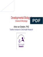 Developmental Biology I: Anke Van Eekelen, PHD