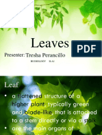 Leaves (Chapter 6)