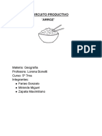 Circuito Productivo Del Arroz en Argentina