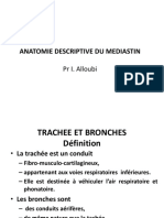 Trachée