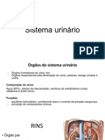 Sistema Urinário COANATO