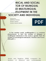 Social and Historical Factors of Bilingual and Multilingual Development in The Society and Individual