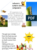 Producers Consumers and Decomposers Powerpoint