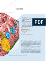 Elaine N Marieb - CH 4 - Tissues - Pearson