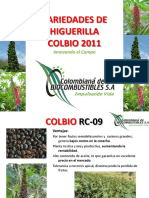 Hibiocol Variedades de Higuerilla 2019 PDF