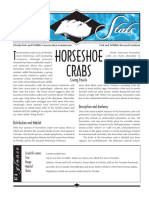 Sea Stats - Horseshoe Crabs