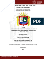 Perfil Gerencial en Puno - Tesis PDF