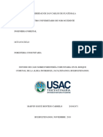 Informe de Caso Foresteria Comunitaria Bosque Inchewex