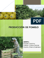 FEPA POMELO Formosa