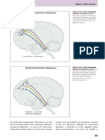 Stahl' Essential Psychopharmacology 285