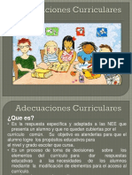 Adecuaciones Curriculares