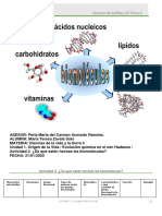 ¿De Qué Están Hechas Las Biomoléculas