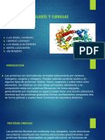 Proteinas Globulares y Fibrosas