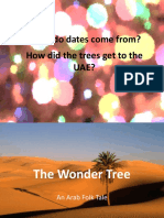 The Wonder Tree