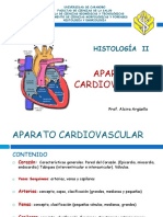 Clase 1 Histologia Cardiovascular