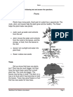 Nonfiction Text Features Assessment - 2nd