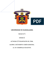 2.1 Delimitacion Del Tema