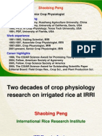 Two Decades of Crop Physiology Research On Irrigated Rice at IRRI