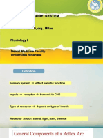 Somatosensory System Ok