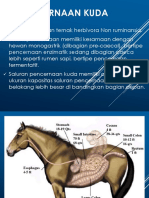 Pencernaan Hewan Fisiologi