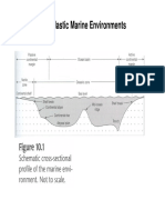 7 - Siliciclastic Marine Environments PDF