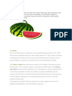 Patilla