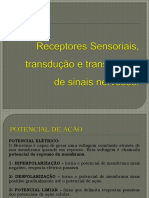 Receptores Sensorias e Transdução de Sinais