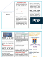 Triptico Impuesto A La Renta y Otros Impuestos