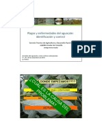 Plagas Aguacate PDF