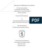 Report On Brain Tumor - Docx1