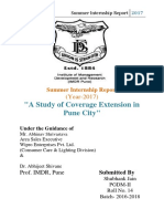 Summer Internship Report Execuitve Summary