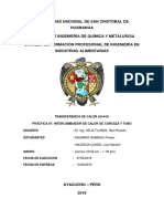 Practica 5 de Calor PDF