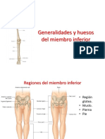 Huesos Del Miembro Inferior-2