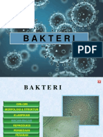 Bakteri